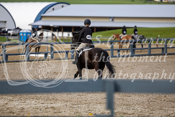 00214 - Shea - 2026 June Classic I - Wednesday June 10th