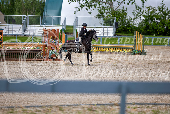 00222 - Shea - 2026 June Classic I - Wednesday June 10th