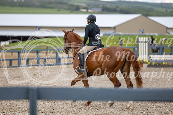 00133 - Shea - 2026 June Classic I - Wednesday June 10th