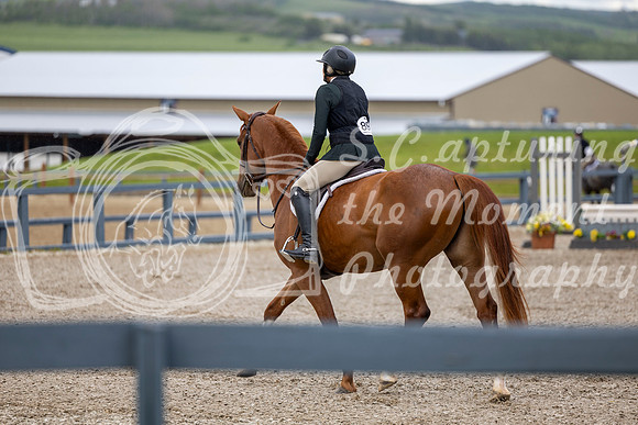 00135 - Shea - 2026 June Classic I - Wednesday June 10th