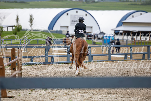 00138 - Shea - 2026 June Classic I - Wednesday June 10th