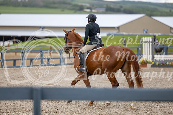 00134 - Shea - 2026 June Classic I - Wednesday June 10th