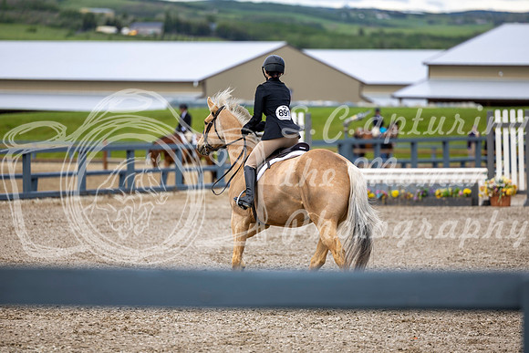 00169 - Shea - 2026 June Classic I - Wednesday June 10th