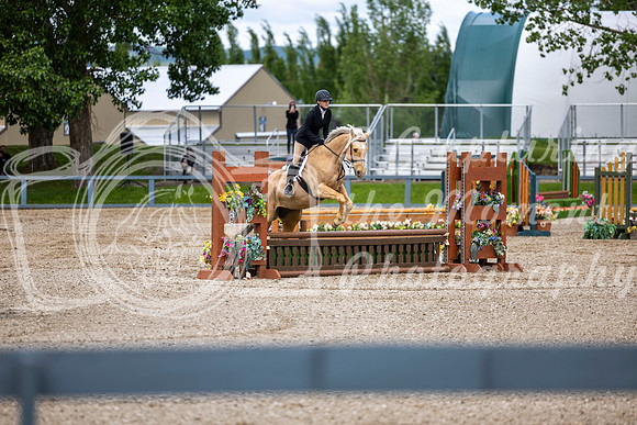 00176 - Shea - 2026 June Classic I - Wednesday June 10th