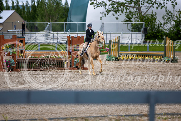 00181 - Shea - 2026 June Classic I - Wednesday June 10th