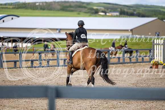 00434 - Shea - 2026 June Classic I - Wednesday June 10th