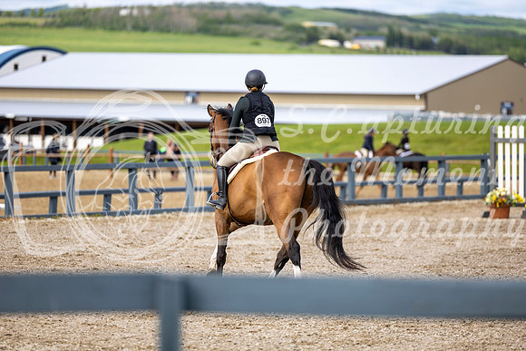 00435 - Shea - 2026 June Classic I - Wednesday June 10th
