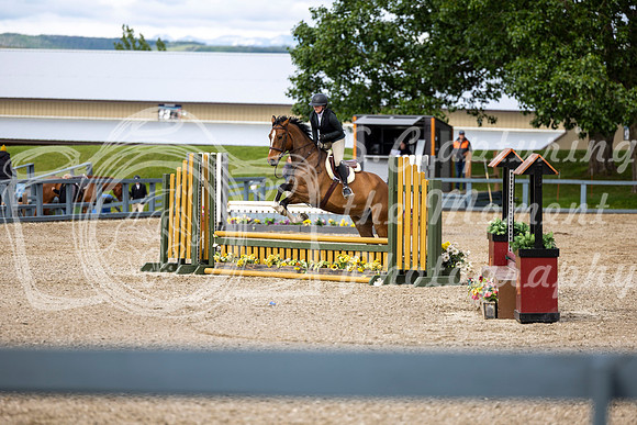 00460 - Shea - 2026 June Classic I - Wednesday June 10th