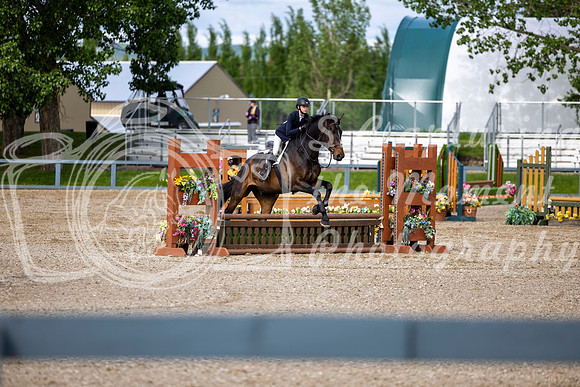 00403 - Shea - 2026 June Classic I - Wednesday June 10th