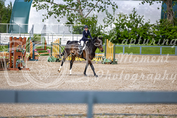 00409 - Shea - 2026 June Classic I - Wednesday June 10th