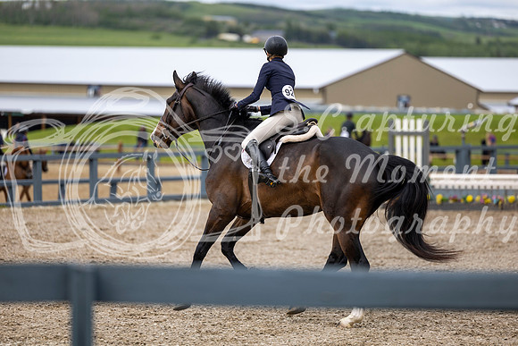 00565 - Shea - 2026 June Classic I - Wednesday June 10th