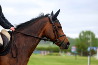 01486 - Shea - 2026 June Classic I - Wednesday June 10th
