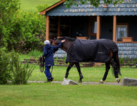 Wednesday