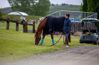 00013 - Shea - 2026 June Classic I - Wednesday June 10th
