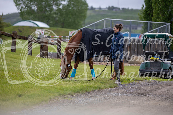 00013 - Shea - 2026 June Classic I - Wednesday June 10th