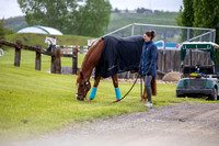 00014 - Shea - 2026 June Classic I - Wednesday June 10th