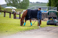 00016 - Shea - 2026 June Classic I - Wednesday June 10th