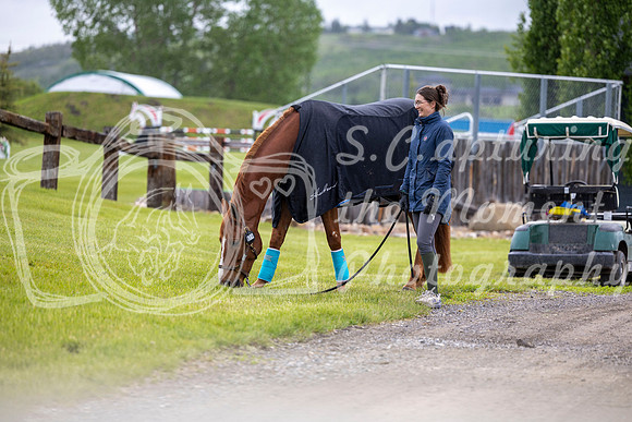 00016 - Shea - 2026 June Classic I - Wednesday June 10th