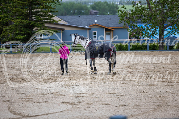 00854 - Shea - 2026 June Classic I - Wednesday June 10th