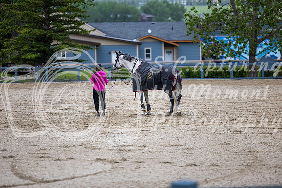 00855 - Shea - 2026 June Classic I - Wednesday June 10th