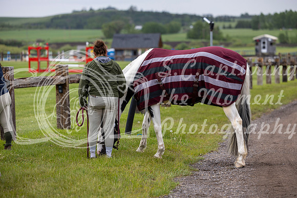 00001 - Shea - 2026 June Classic I - Wednesday June 10th