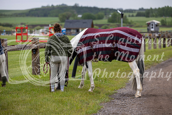 00002 - Shea - 2026 June Classic I - Wednesday June 10th