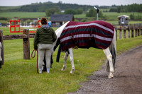 00003 - Shea - 2026 June Classic I - Wednesday June 10th