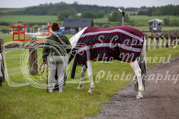 00003 - Shea - 2026 June Classic I - Wednesday June 10th
