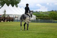 01611 - Shea - 2026 June Classic I - Wednesday June 10th