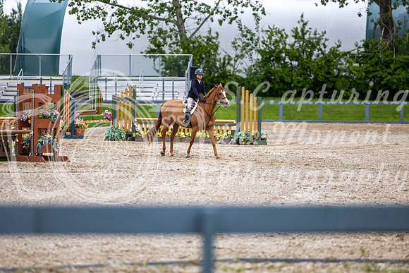 00889 - Shea - 2026 June Classic I - Wednesday June 10th