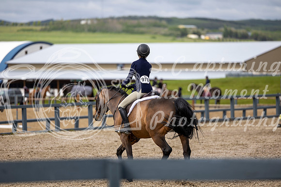 01246 - Shea - 2026 June Classic I - Wednesday June 10th