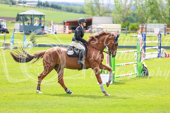 03339 - Shea - 2026 June Classic I - Wednesday June 10th
