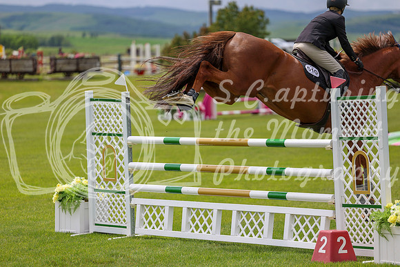 03361 - Shea - 2026 June Classic I - Wednesday June 10th