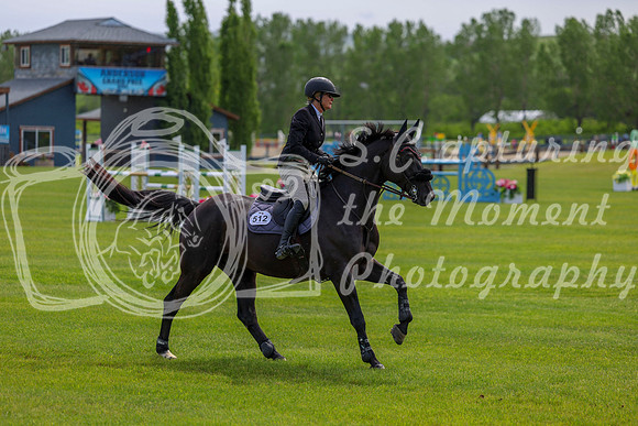 03441 - Shea - 2026 June Classic I - Wednesday June 10th