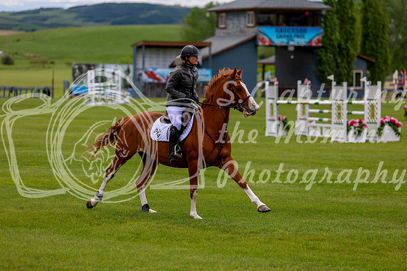 02959 - Shea - 2026 June Classic I - Wednesday June 10th