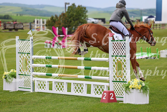 02965 - Shea - 2026 June Classic I - Wednesday June 10th