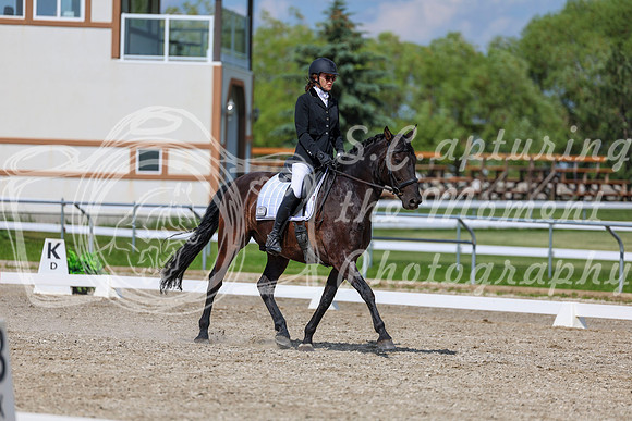 2025 - Dressage Festival - Saturday July 5th - 15218