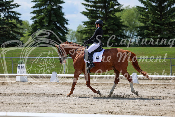 2025 - Dressage Festival - Saturday July 5th - 10094