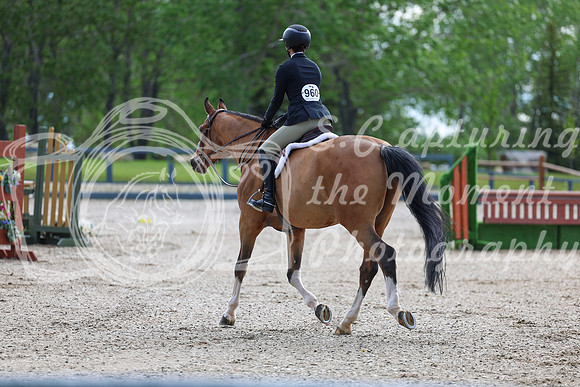 00184 - Shea - 2026 June Classic I - Thursday June 11th