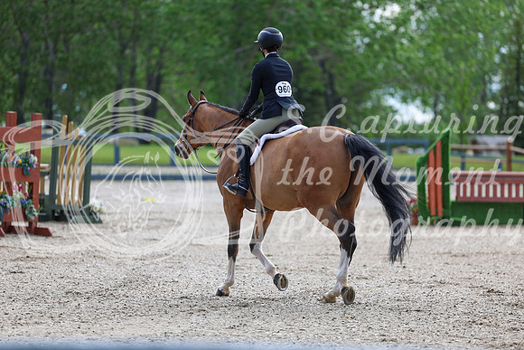 00186 - Shea - 2026 June Classic I - Thursday June 11th