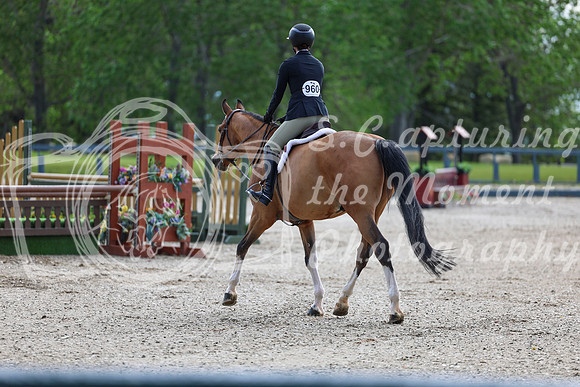 00187 - Shea - 2026 June Classic I - Thursday June 11th