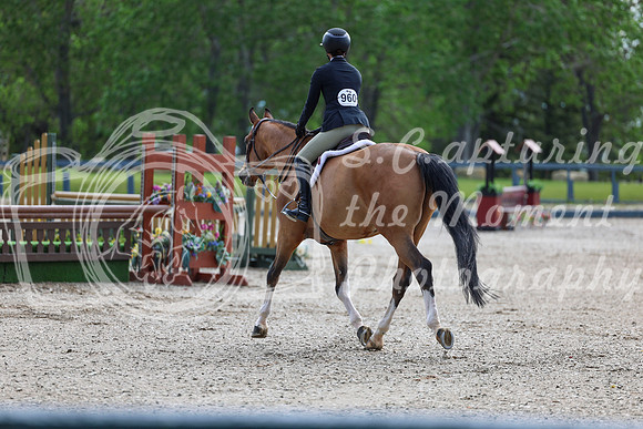 00189 - Shea - 2026 June Classic I - Thursday June 11th