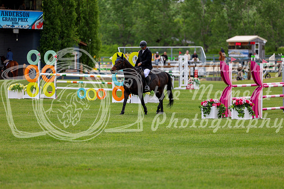 03133 - Shea - 2026 June Classic I - Thursday June 11th