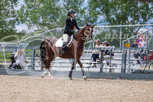 02085 - Shea - 2026 June Classic I - Thursday June 11th