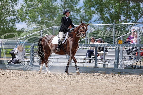 02084 - Shea - 2026 June Classic I - Thursday June 11th