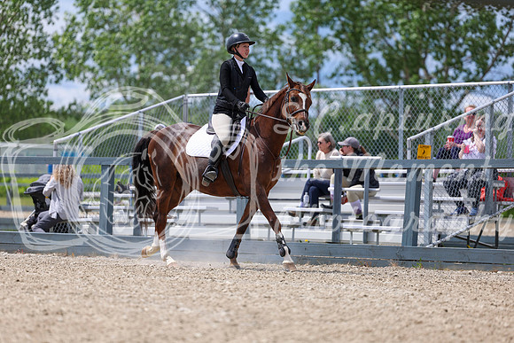 02086 - Shea - 2026 June Classic I - Thursday June 11th
