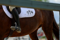02093 - Shea - 2026 June Classic I - Thursday June 11th