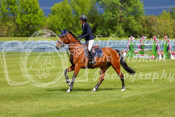03946 - Shea - 2026 June Classic I - Thursday June 11th