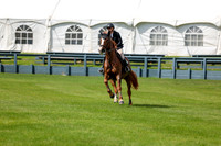 04227 - Shea - 2026 June Classic I - Thursday June 11th