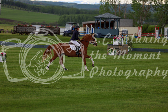 03377 - Shea - 2026 June Classic I - Thursday June 11th